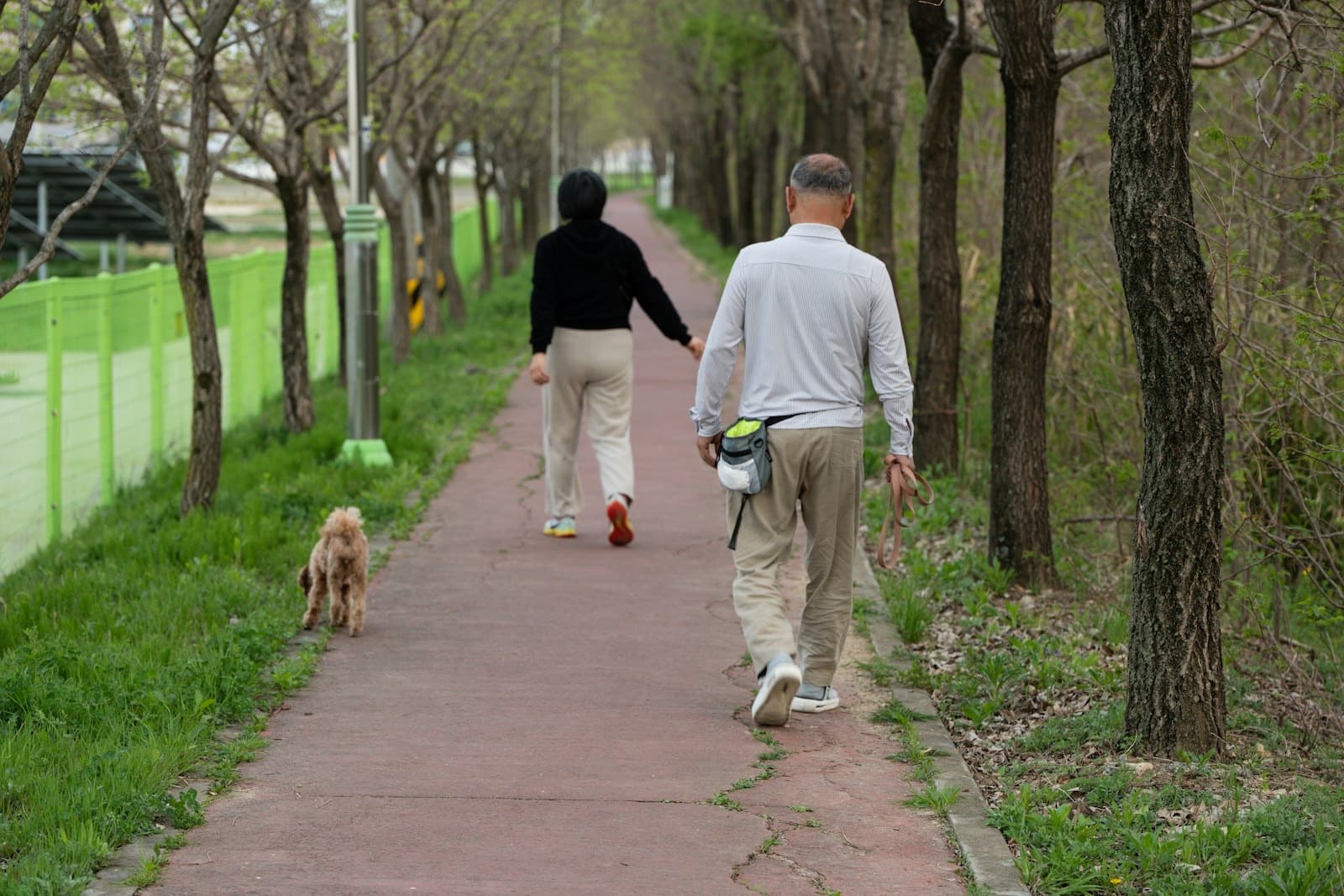 Couple walking a dog along a park path, seen from behind