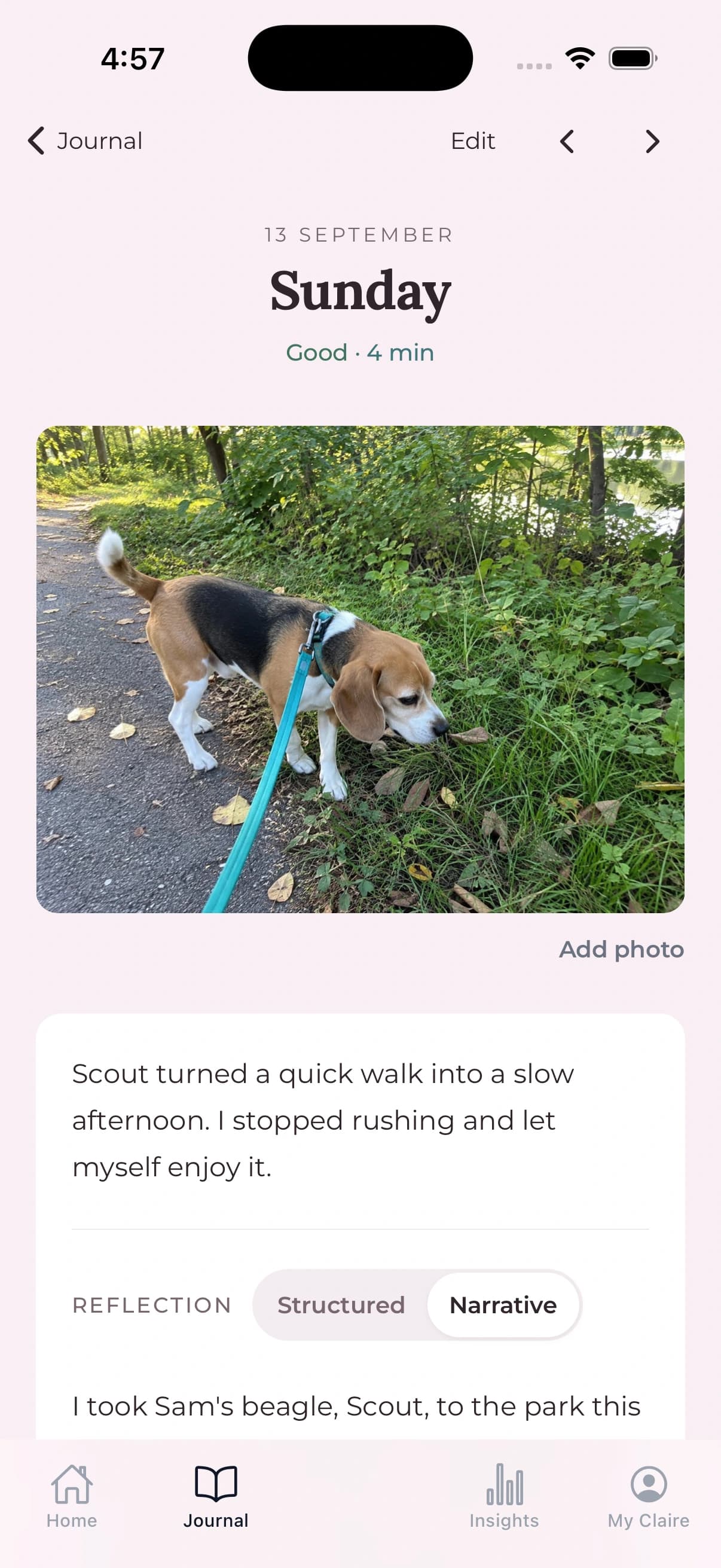A fictional Sunday journal entry with a photograph of Scout the beagle and a reflection on slowing down.